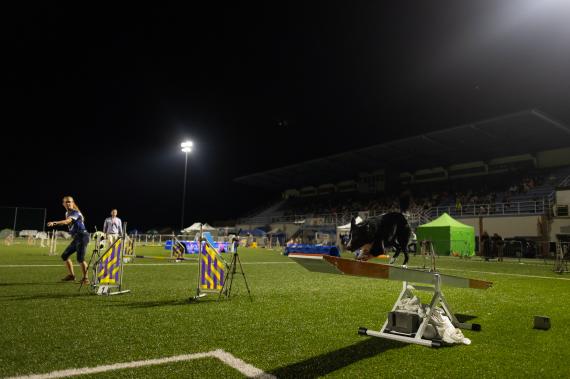 Jméno fotky: fotka 265 / 400