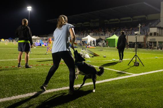 Jméno fotky: fotka 267 / 400