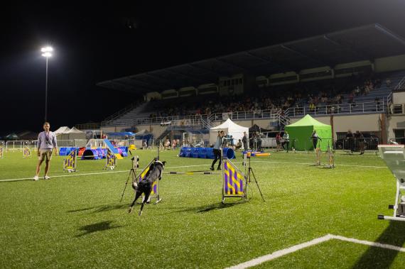 Jméno fotky: fotka 268 / 400