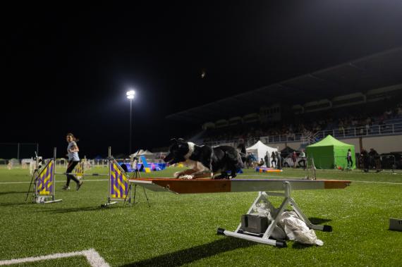 Jméno fotky: fotka 269 / 400