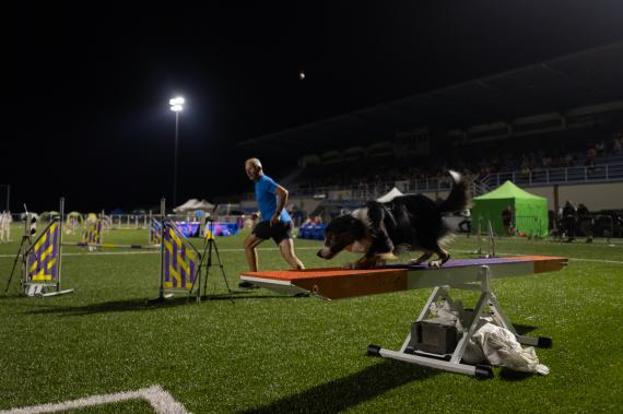 Jméno fotky: fotka 271 / 400