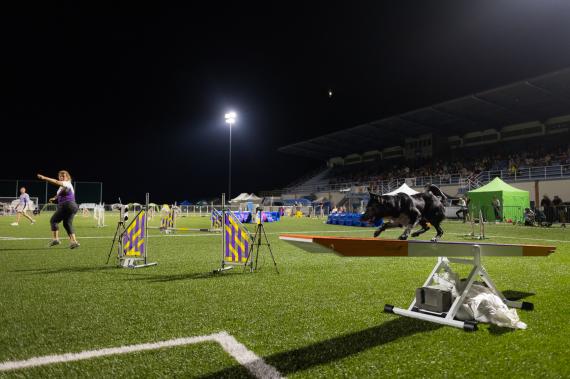 Jméno fotky: fotka 272 / 400