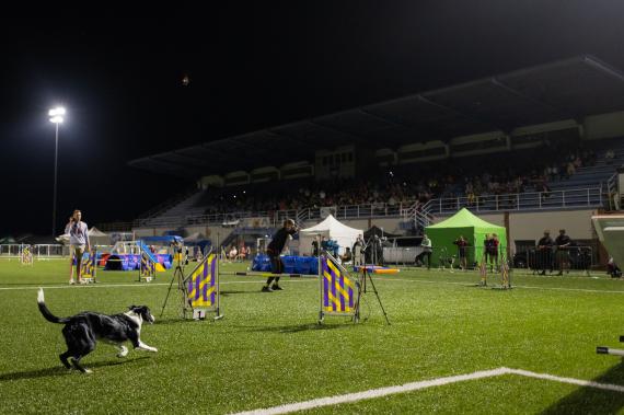 Jméno fotky: fotka 273 / 400