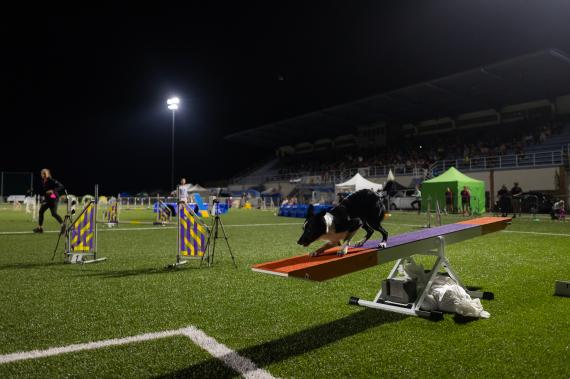 Jméno fotky: fotka 274 / 400