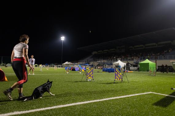 Jméno fotky: fotka 275 / 400