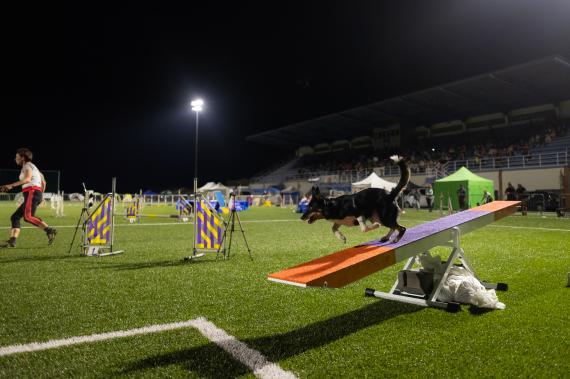 Jméno fotky: fotka 276 / 400