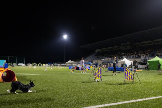 Jméno fotky: fotka 277 / 400