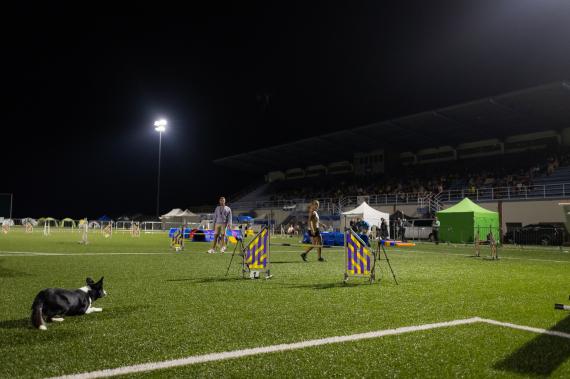 Jméno fotky: fotka 279 / 400