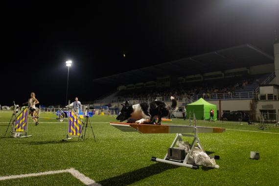 Jméno fotky: fotka 280 / 400