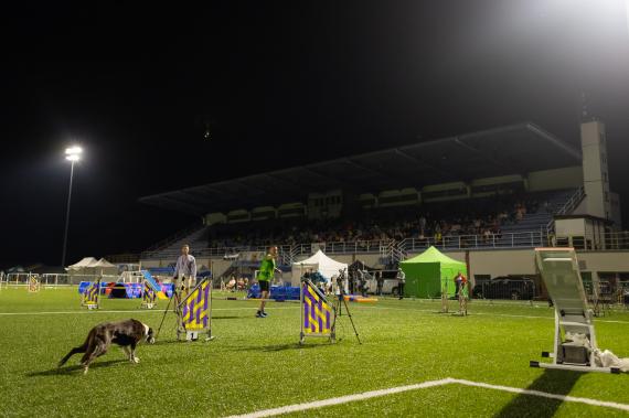 Jméno fotky: fotka 282 / 400