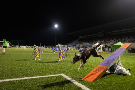 Jméno fotky: fotka 283 / 400