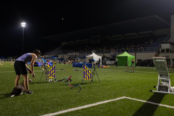 Jméno fotky: fotka 285 / 400