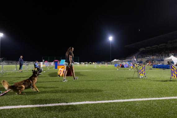 Jméno fotky: fotka 287 / 400