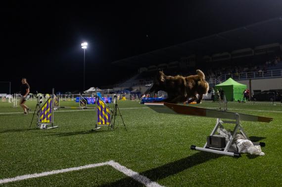 Jméno fotky: fotka 288 / 400