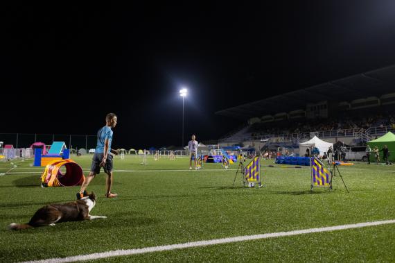 Jméno fotky: fotka 289 / 400