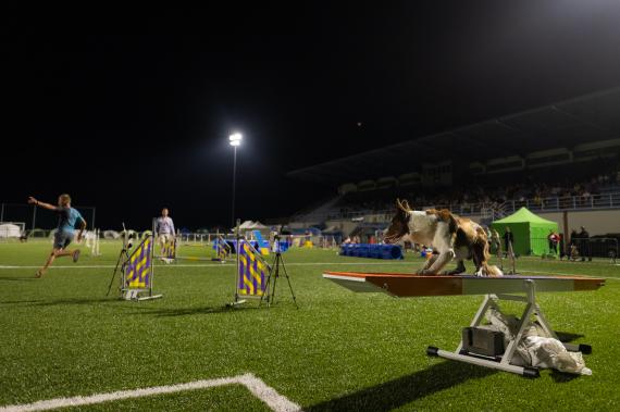 Jméno fotky: fotka 290 / 400