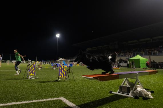 Jméno fotky: fotka 291 / 400