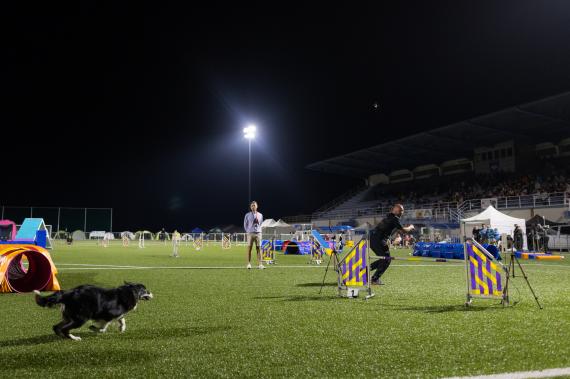 Jméno fotky: fotka 292 / 400