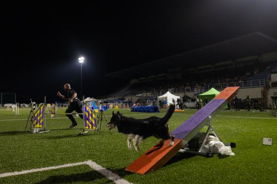 Jméno fotky: fotka 293 / 400