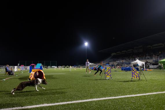 Jméno fotky: fotka 294 / 400