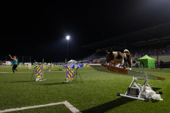 Jméno fotky: fotka 295 / 400