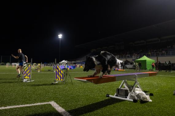 Jméno fotky: fotka 296 / 400