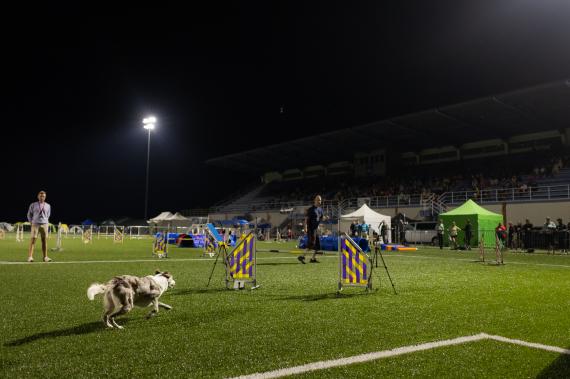 Jméno fotky: fotka 297 / 400