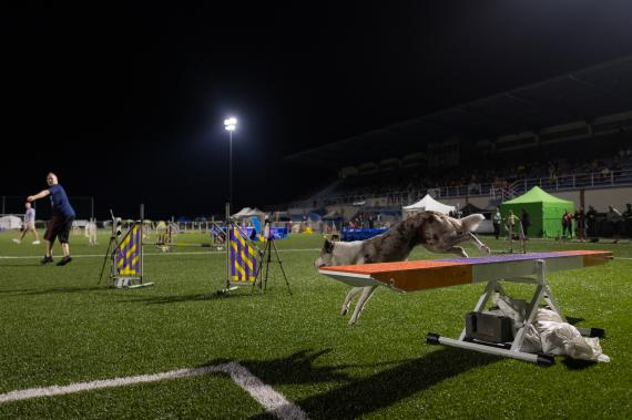 Jméno fotky: fotka 298 / 400