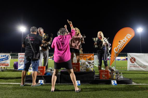 Jméno fotky: fotka 304 / 400