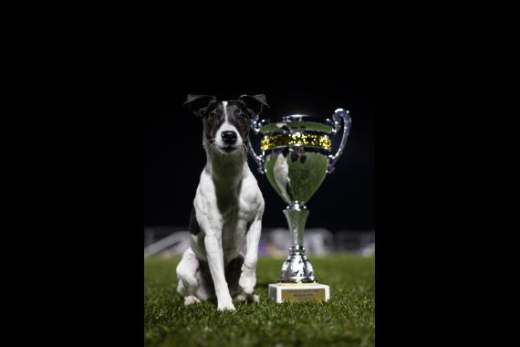 Jméno fotky: fotka 318 / 400