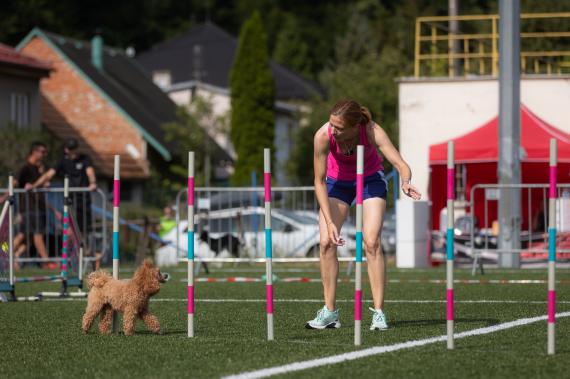 Jméno fotky: fotka 322 / 400