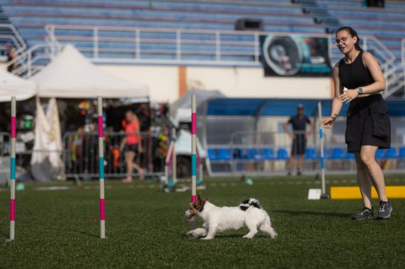 Jméno fotky: fotka 324 / 400