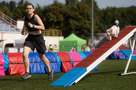 Jméno fotky: fotka 325 / 400