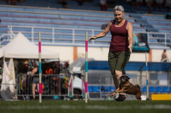 Jméno fotky: fotka 326 / 400