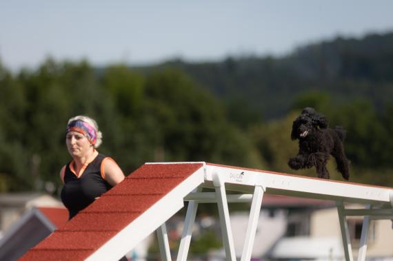 Jméno fotky: fotka 328 / 400