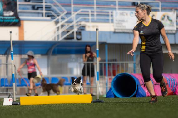 Jméno fotky: fotka 329 / 400