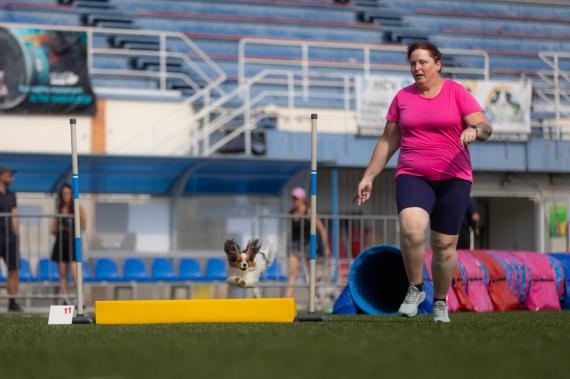 Jméno fotky: fotka 330 / 400