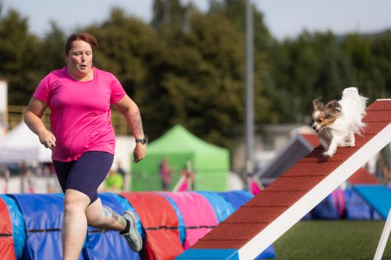 Jméno fotky: fotka 331 / 400