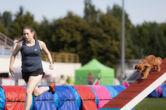 Jméno fotky: fotka 332 / 400