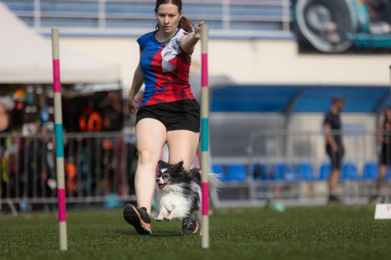 Jméno fotky: fotka 333 / 400