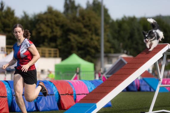 Jméno fotky: fotka 334 / 400