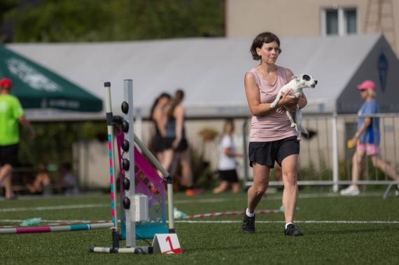 Jméno fotky: fotka 335 / 400