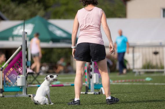 Jméno fotky: fotka 336 / 400