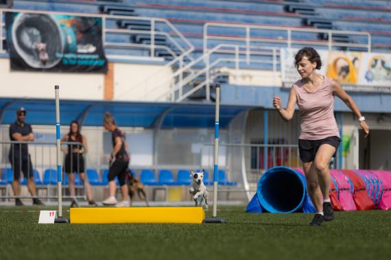 Jméno fotky: fotka 337 / 400