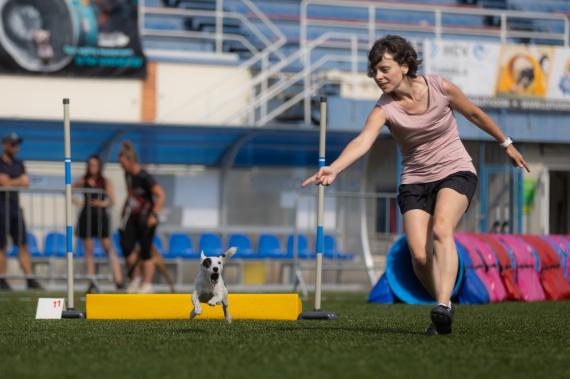 Jméno fotky: fotka 338 / 400