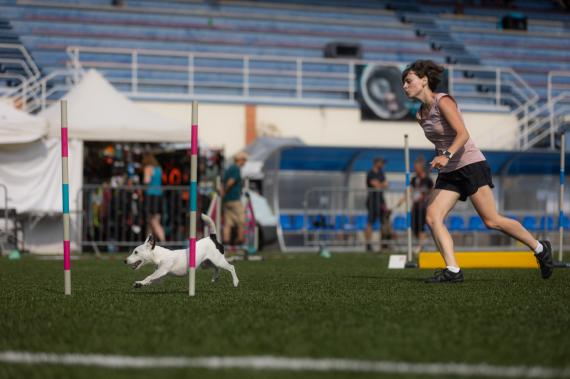 Jméno fotky: fotka 339 / 400