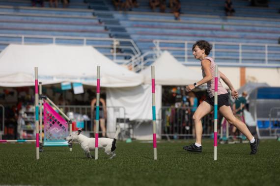 Jméno fotky: fotka 340 / 400