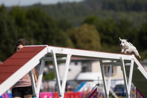 Jméno fotky: fotka 341 / 400