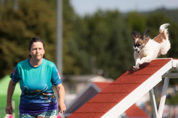 Jméno fotky: fotka 344 / 400