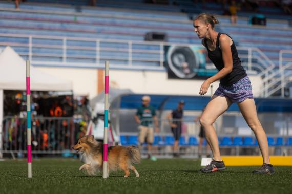 Jméno fotky: fotka 345 / 400